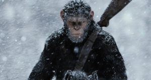 war-apes