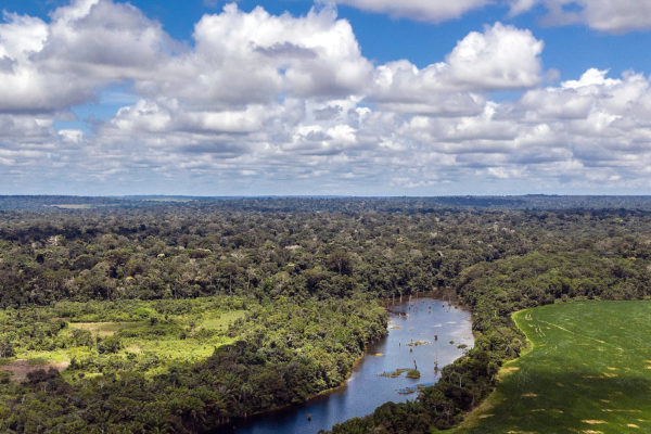 ratanabá